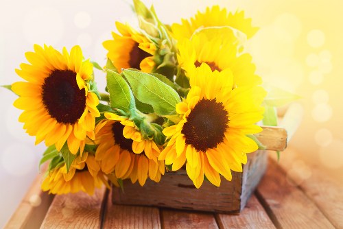 Elegant chrysanthemums in a sympathy bouquet