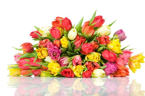 Elegant roses and chrysanthemums in a sympathy bouquet