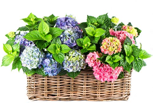 Personalized orchid and tulip arrangement for condolences