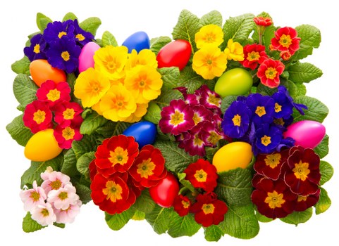 Compassionate floral service providing fresh sympathy blooms