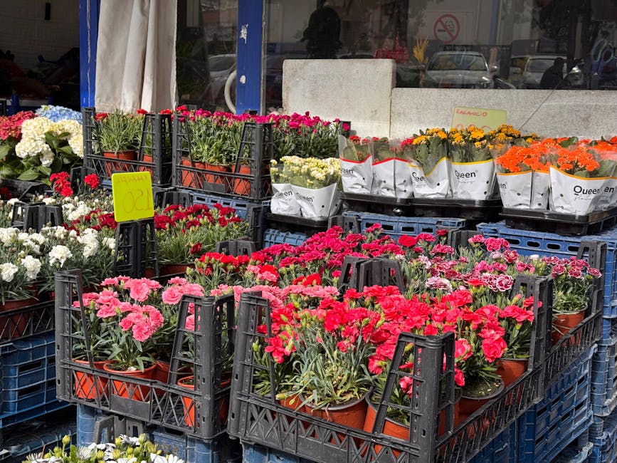 A display of potted flowering plants arranged on stacking plastic crates outside a shop. The arrangement features vibrant pink, red, white, yellow, and orange blooms, including carnations and chrysant
